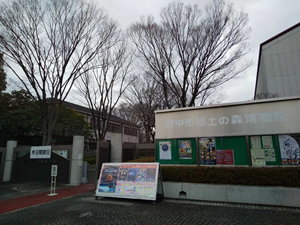 画像の説明 画像の説明